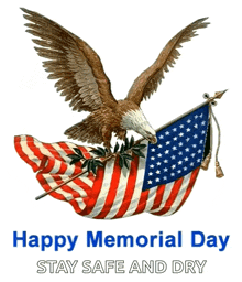 a bald eagle holding an american flag with the words happy memorial day stay safe and dry