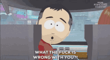 What The Fuck Is Wrong With You Stan Marsh GIF - What The Fuck Is Wrong With You Stan Marsh South Park GIFs