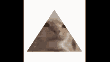 Cat Pyramid GIF - Cat Pyramid Spinning GIFs