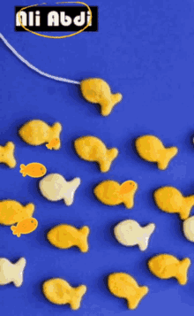 Fish Images GIF - Fish Images GIFs
