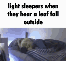 Light Sleepers Meme GIF - Light Sleepers Meme Bed Shake GIFs