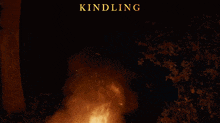 Kindling Kindlingfilm GIF - Kindling Kindlingfilm Lowkey Films GIFs