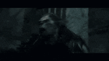 Sam Frying Pan Lord Of The Rings GIF - Sam Frying Pan Lord Of The Rings GIFs