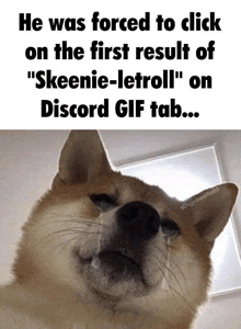 Skeenie-letroll GIF - Skeenie-letroll GIFs