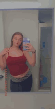 Selfie Mirror Shot GIF - Selfie Mirror Shot Posing GIFs