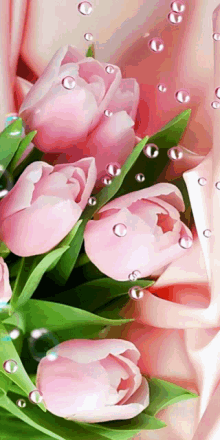 Pinks5 Lovely Pink GIF