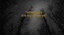 Tammy GIF - Tammy GIFs