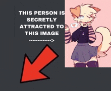 This Person Is Secretly Attracted To This Image Discord Meme GIF