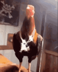 Dripped Cock GIF - Dripped Cock Swagging GIFs