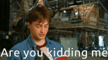 Are You Kidding Me Are You Serious GIF - Are You Kidding Me Are You Serious Harry Potter GIFs