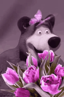 Violet Flowers GIF - Violet Flowers Dog GIFs
