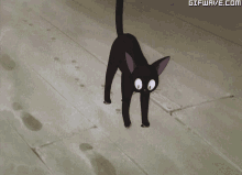 a black cat is walking on a wooden floor with the website gifwave.com visible in the corner