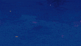 a fireworks display with a castle in the foreground and the words vota teamaladdin on the bottom