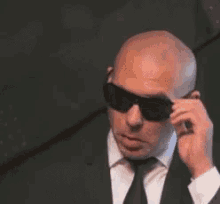 pitbull wink winking suave sunglasses