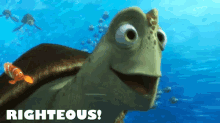 Righteous! GIF - Dory Gi Fs Finding Nemo Finding Dory GIFs