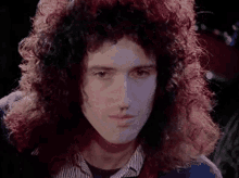 Brian Brianmay GIF - Brian Brianmay Queen GIFs