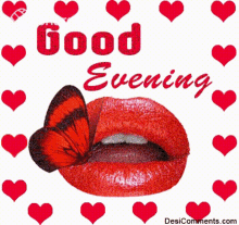 Good Evening Evening GIF - Good Evening Evening Lipd GIFs