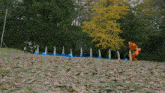 a row of cones are lined up in a field