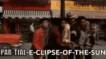 Total-eclipse-of-the-sun Little Shop Of Horrors GIF - Total-eclipse-of-the-sun Eclipse Little Shop Of Horrors GIFs