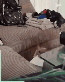 Cats Letter GIF - Cats Letter Delivery GIFs