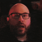 a bald man with glasses and a beard is looking at the camera .