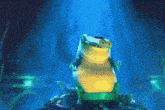 a frog is sitting on a rock in the water and looking at the camera