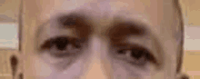Eye Brows GIF