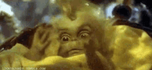 Baby Grinch Excited GIF - Baby Grinch Excited Cute GIFs