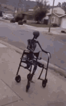 a skeleton is pushing a walker down a sidewalk .