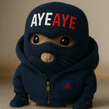 a hamster wearing a blue hoodie and a blue beanie that says aye aye