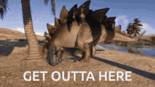 Stegosaurus Meme GIF - Stegosaurus Steg Stego GIFs