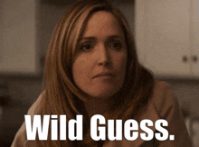 Instant Family Ellie Wagner GIF - Instant Family Ellie Wagner Wild Guess GIFs