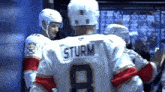 a hockey player with the name sturm on their jersey