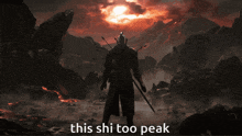 a man standing in front of a volcano with the words " this shi too peak " above him