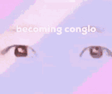 Conglo Conglomeration GIF