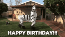 birthday zebra