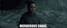 Star Wars Rey GIF - Star Wars Rey Murderous Snake GIFs