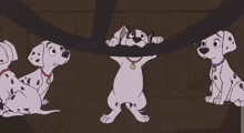 Patch Driving 101 Dalmations 2 GIF