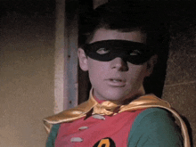 a man in a robin costume is wearing a mask and cape