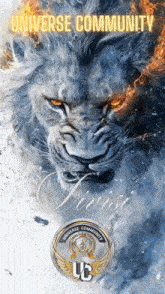a poster of a lion with the words universe community on it