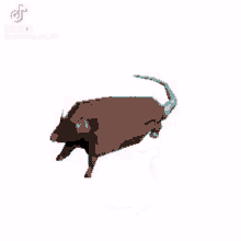 Spinning Rat Spinning GIF - Spinning Rat Spinning Rat GIFs
