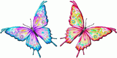Borboletas Butterflies Sticker - Borboletas Butterflies Colorful - Discover  & Share GIFs