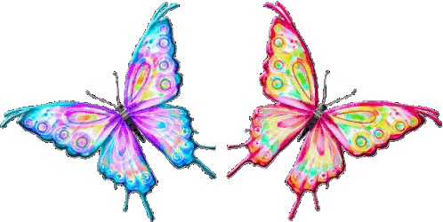 Borboletas Butterflies Sticker - Borboletas Butterflies Colorful Stickers