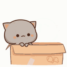 GIF