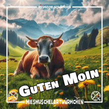 a picture of a cow laying in a field with the words guten moin on it