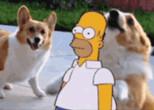 homer simpson dog sinked to fluffyness fluffy