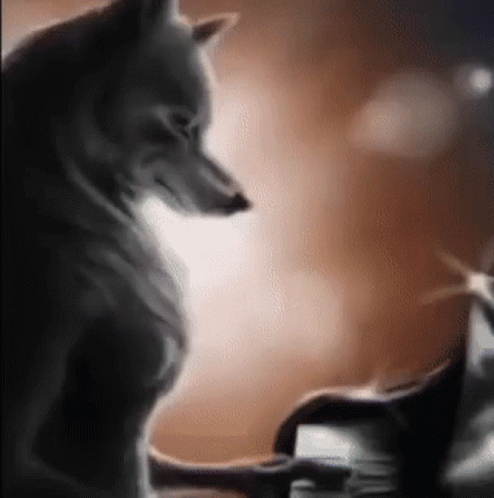 Sad Wolf Furry GIF - Sad Wolf Furry Lone Wolf - Discover & Share GIFs