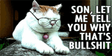Kitty Memes GIF - Kitty Memes Bullshit GIFs