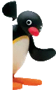 Pingu Peek Sticker - Pingu Peek Peeking Stickers