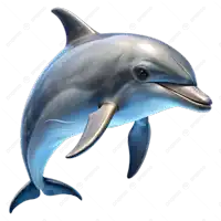 a picture of a dolphin with the word dolphins on the bottom